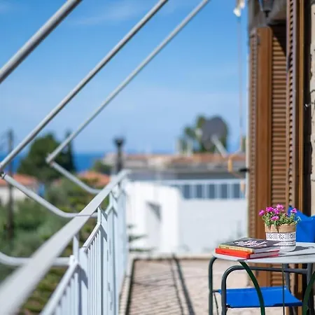 Chrysanthi * 卡德哈米利